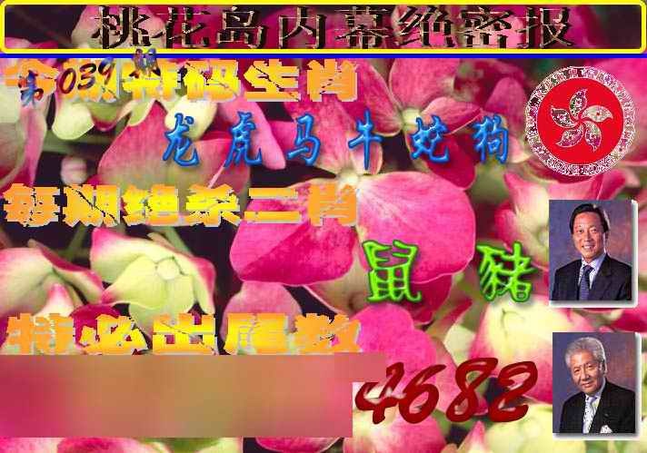 039期桃花岛内幕报[图]